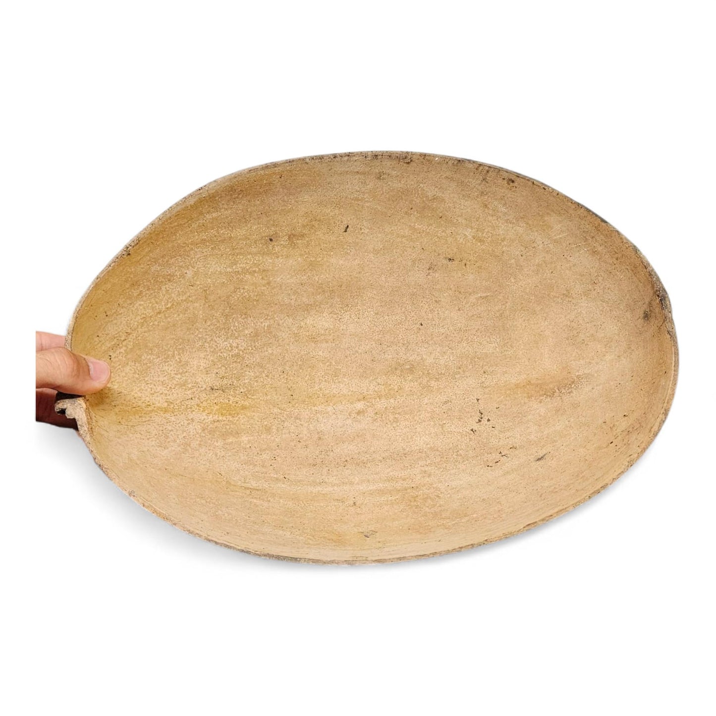 Large 12 Inch Jicara