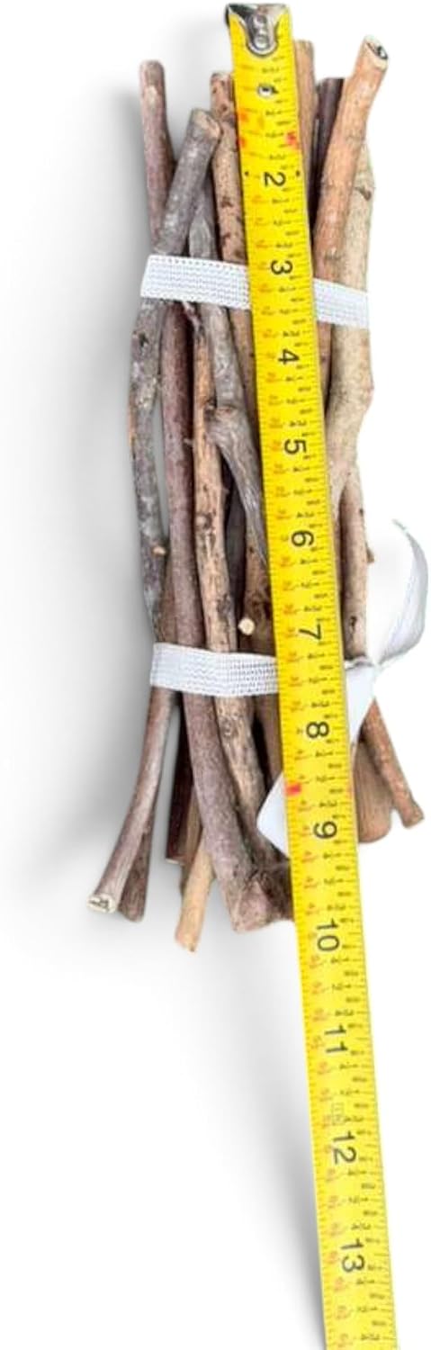 Carga de 21 Palos Natural Wood Stick Prenda Egun Santeria Yoruba Mayombe, Small