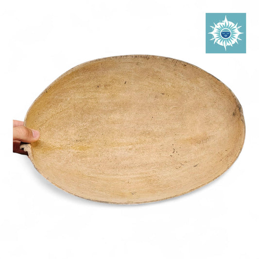 Large 12 Inch Jicara
