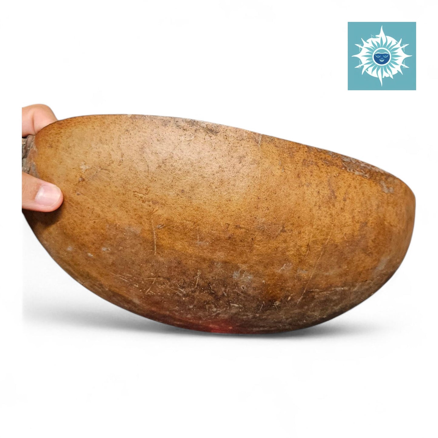 Large 12 Inch Jicara