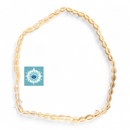 Elegua – Orisha Aje Aye Cowrie Shell Necklace – Collar de
