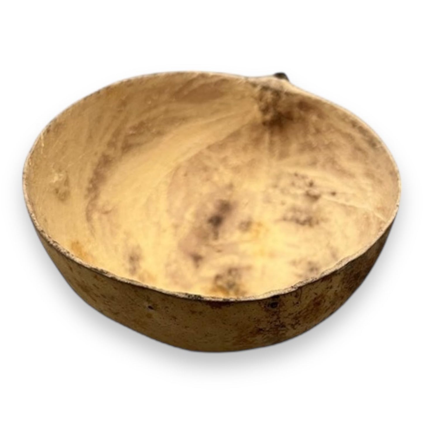 Natural Jicaras Bowl Calabash  –  Essential for Santería